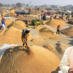 Paddy procurement will start in…