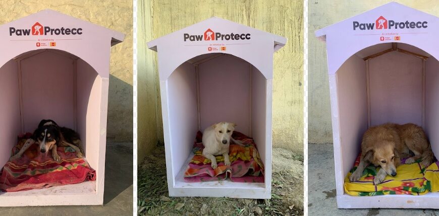 Mars Petcare and Swiggy Instamart Expand&hellip;