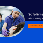 BD Safe Emergency Seminar Launched&hellip;