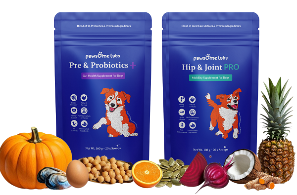 Pawsome Labs is Raising the Bar for Pet Wellness…