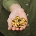 Walnuts Among Omega-3 Foods Linked…