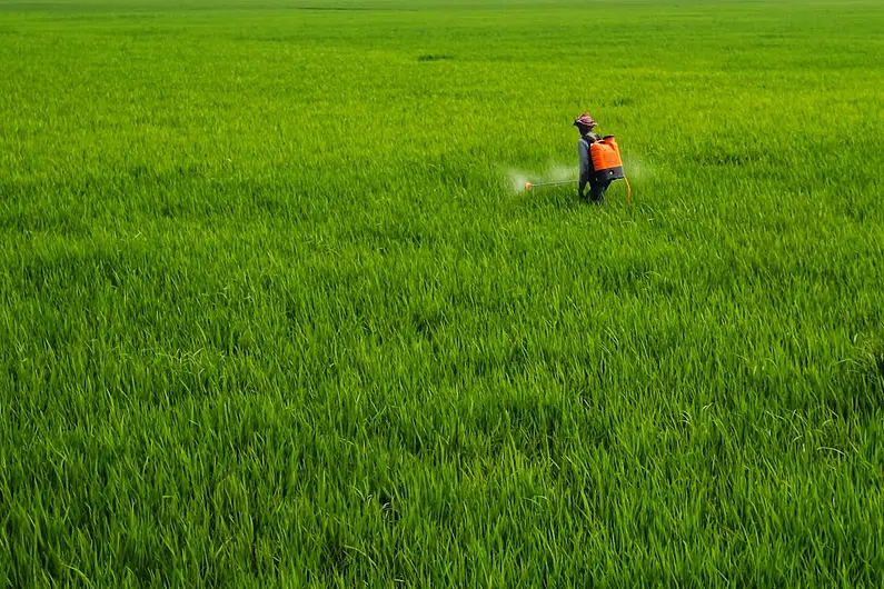 Alternative arrangement to meet the shortage of Di-Ammonium Phosphate (DAP) in Chhattisgarh……