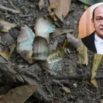 Cash Discovery Row: Justice Yashwant&hellip;