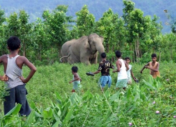 Respond Sensitively and Promptly to Human and Crop Loss…