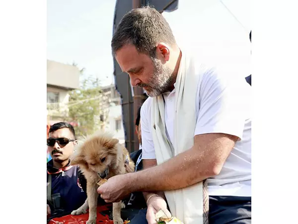 Rahul Gandhi Criticises SC Ruling on Stray Dogs