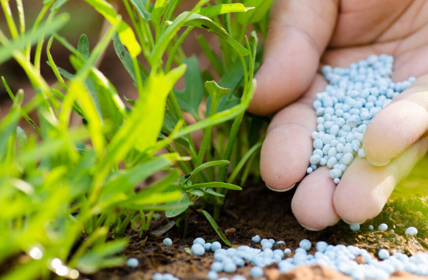 Chemical fertilizers are available in sufficient&hellip;