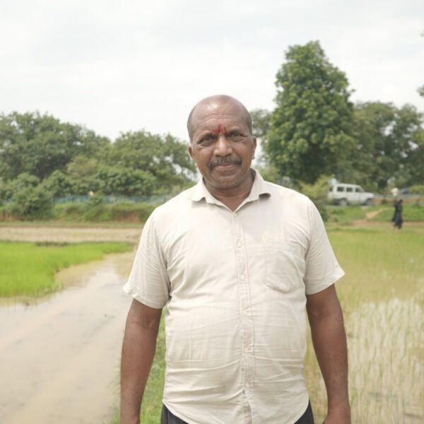 Fertilizer receives on time, hopes bloomed, Santosh’s hard work…