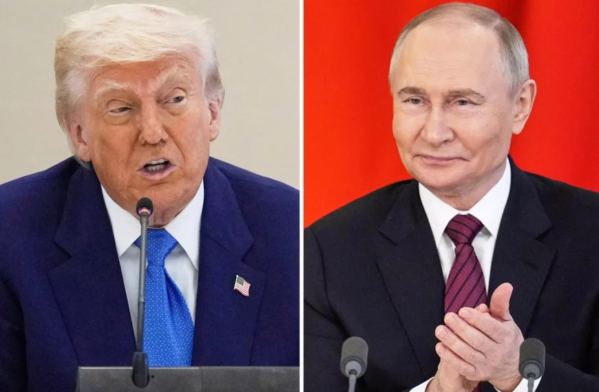 Trump-Putin Meeting Possible Next Week to End Ukraine War: White House