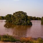 Rs. 2.3+ Crore Raised on…