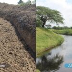 Rivers Rise Again: The Art&hellip;