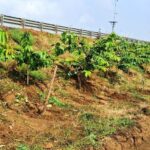 Chhattisgarh’s national highways are becoming&hellip;