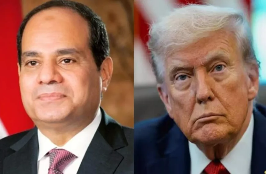 Trump, El-Sisi to Chair Gaza Peace&hellip;