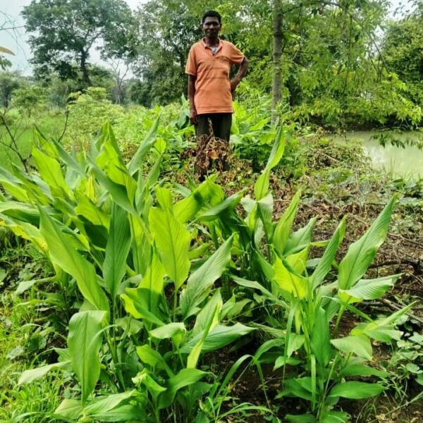 Dular Singh’s dream comes true: A pond opens the&hellip;