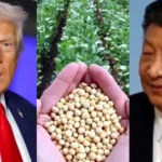 ‘China’s move amounts to an…