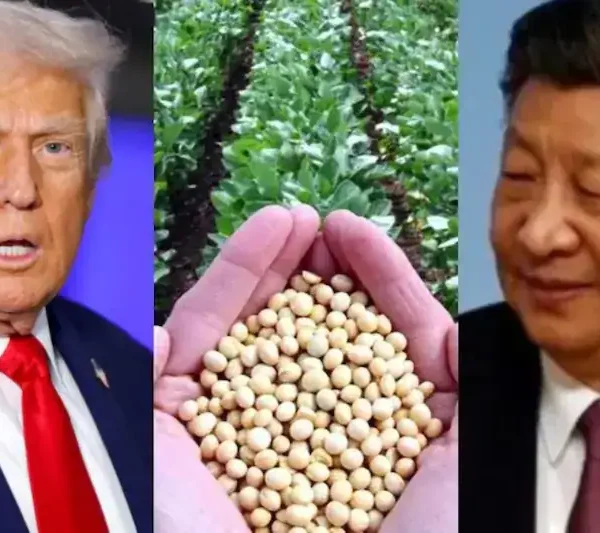 ‘China’s move amounts to an economic attack on the…