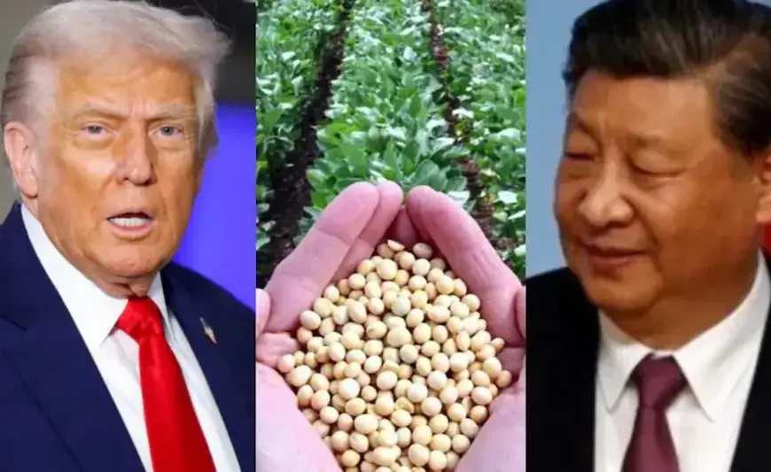 ‘China’s move amounts to an economic&hellip;