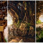 Discover the Magic of Wicked:…