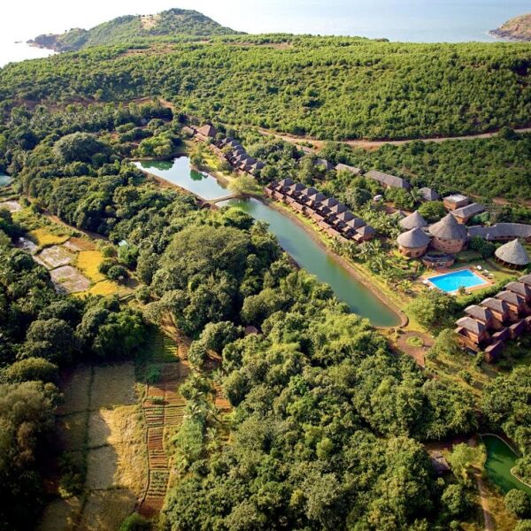 Wellness goes Mainstream: From White Lotus to Global Retreats,…