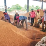 Kharif Marketing Year 2025–26: Paddy…