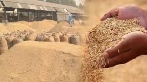 New Record in Paddy Procurement: ₹23,448 Crore Transferred to Accounts of 17.77 Lakh Farmers by January 13