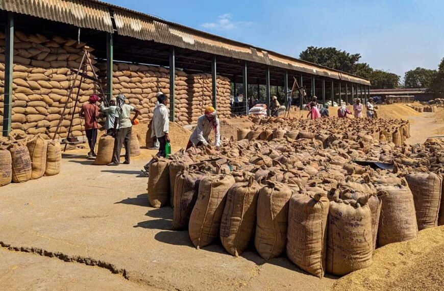 Moisture Loss and Pest-Related Damage in Paddy Storage: A Scientific and Natural Process