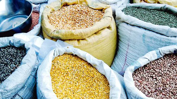 Central Govt approves procurement of pulses, oilseeds in Chhattisgarh&hellip;