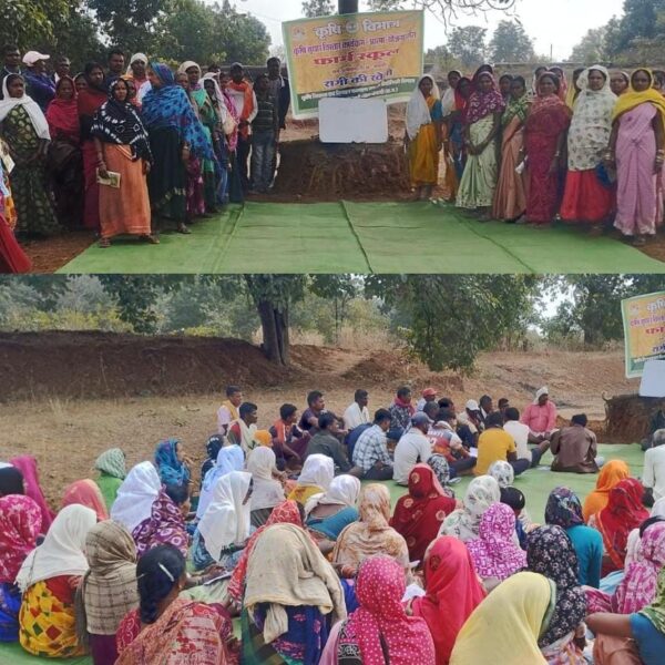 Rabi Cultivation Returns to Dhamtari’s Tribal Region After 50&hellip;