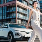 How the VinFast VF 6…