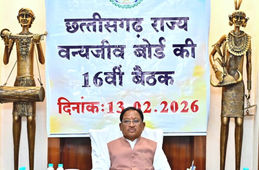 All activities should be conducted in accordance with the principles of coexistence and protection of wildlife habitats: Chief Minister Sai