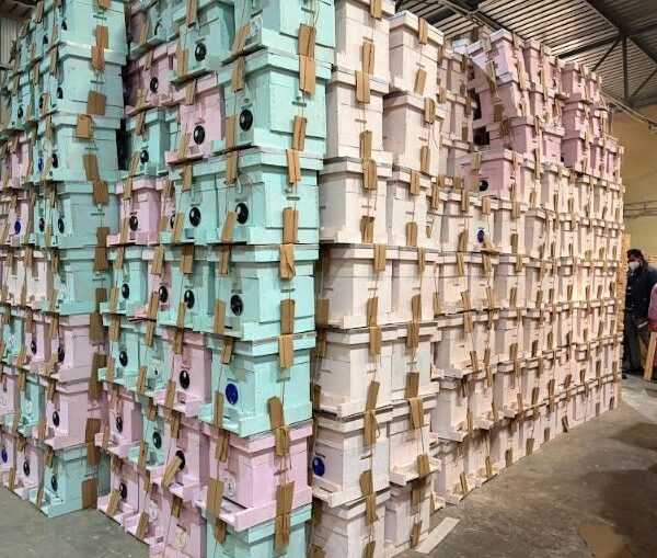 Nippon Paint India Partners with Humble Bee to Strengthen&hellip;