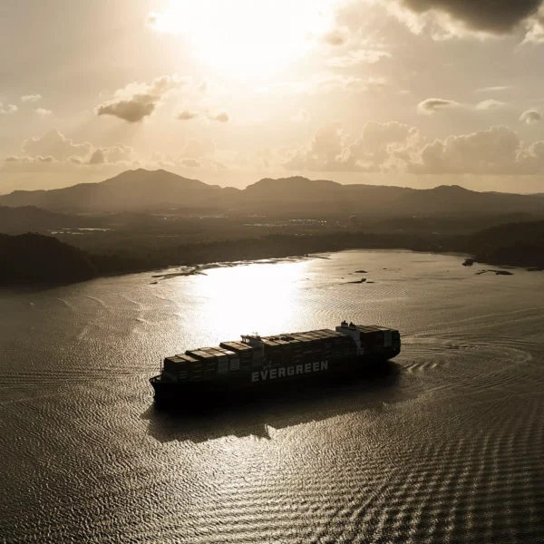 Iranian Navy Guided Indian Tanker Through Hormuz: Crew Member