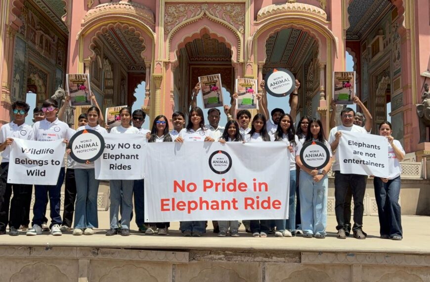 World Animal Protection Calls for End to Elephant Rides Everywhere on Occasion of Save The Elephant Day