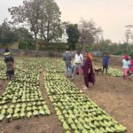 A Major Step Towards Boosting&hellip;