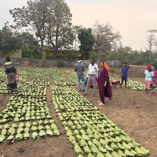 A Major Step Towards Boosting the Income of ‘Green&hellip;