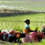 Centre Raises MSP for 14&hellip;
