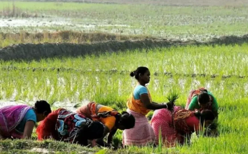 Centre Raises MSP for 14 Kharif Crops