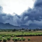 India May See 90% of&hellip;