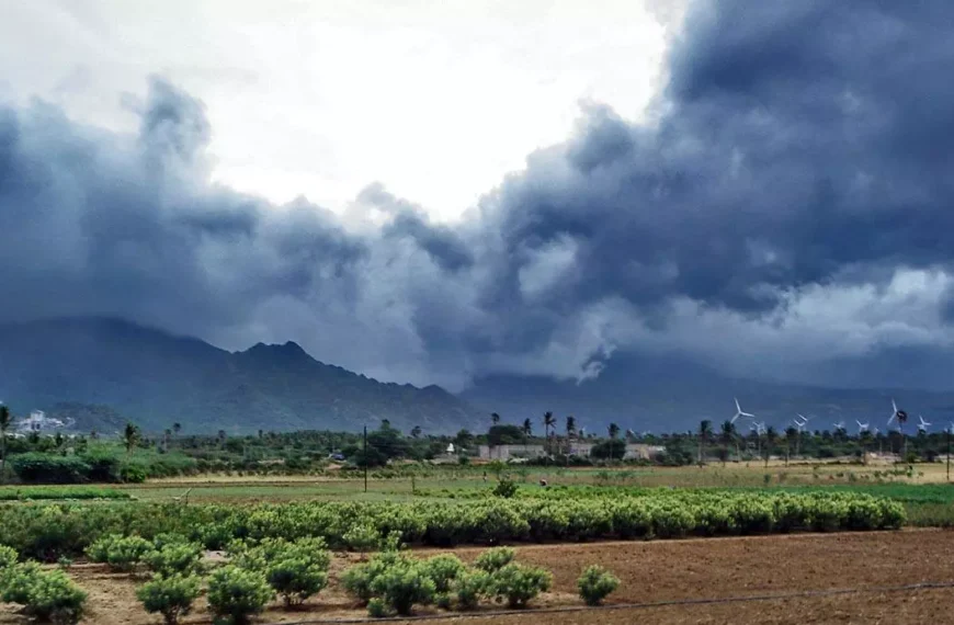India May See 90% of Long Period Average Rainfall This Monsoon: IMD