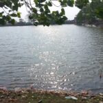Canal water revives 4,755 drying&hellip;