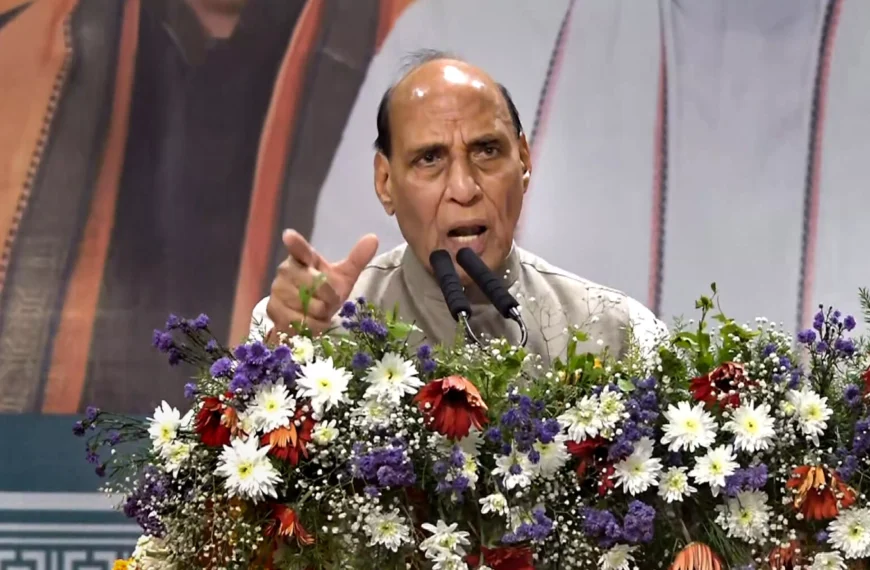 Rajnath Vows To Flush Out Illegal Immigrants, Implement UCC