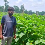 From Traditional Farming to Prosperity:&hellip;