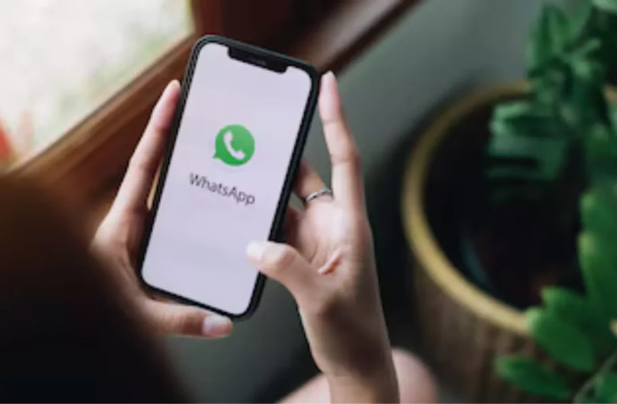 WhatsApp Set to Roll Out Usernames