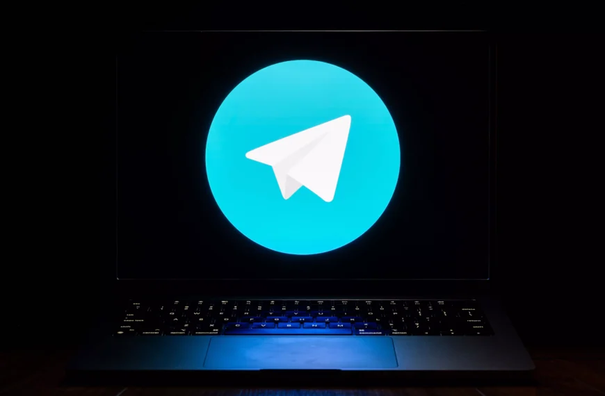 After WhatsApp, IT Ministry Sends Notice to Telegram, Signal Over Username Feature
