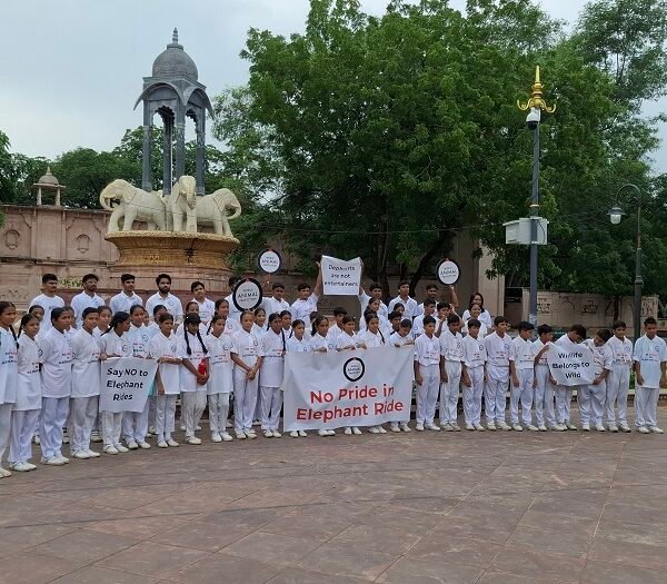 World Animal Protection Appeals to Chief Minister of Rajasthan…