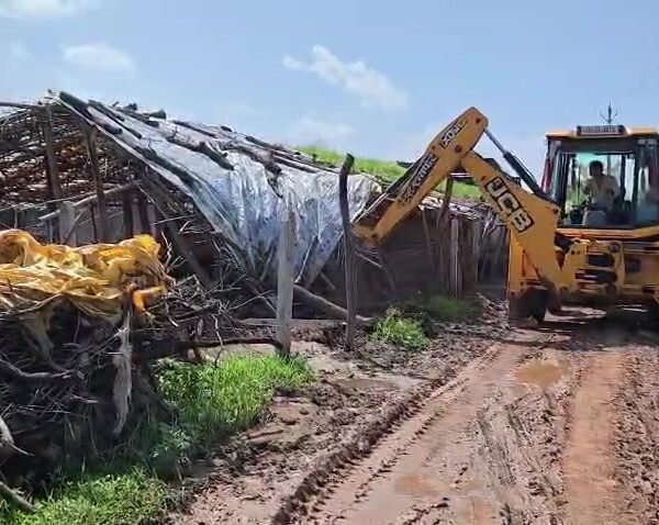 Hemaband Animal Cruelty Case: Father-Son Arrested, 126 Cattle Rescued