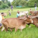 CM Vishnu Deo Sai Returns…
