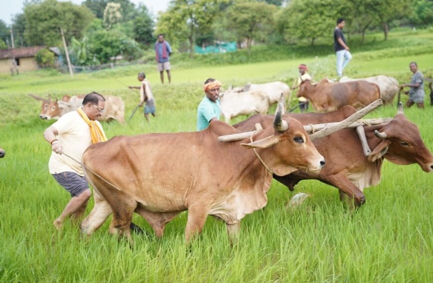 CM Vishnu Deo Sai Returns to His Roots, Ploughs Field in Native Village Bagia