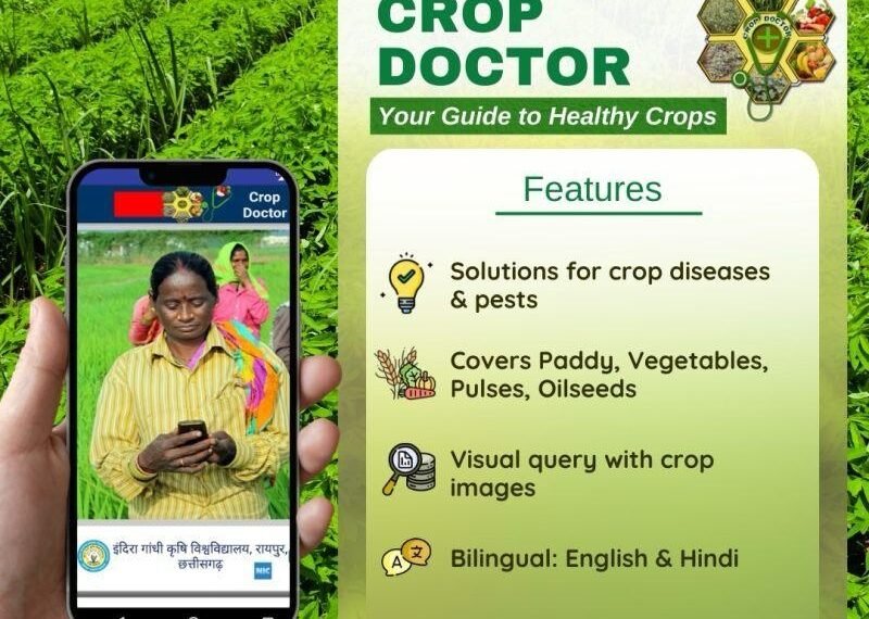 Chhattisgarh Strengthens Crop Protection Measures Under Agriculture Minister Ramvichar Netam’s Directions