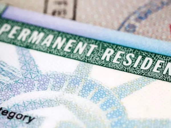 Indian IT Giants Hit by US Green Card Freeze&hellip;