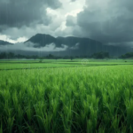 Cyclonic System May Bring Heavy…